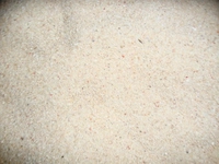 Kalsiyum Karbonatlı Kum Kalsiyum Karbonatlı Kum