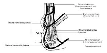 Kalsiyum Dobesilat Özellikleri ve Faydaları Nelerdir? Kalsiyum Dobesilat Özellikleri ve Faydaları Nelerdir?